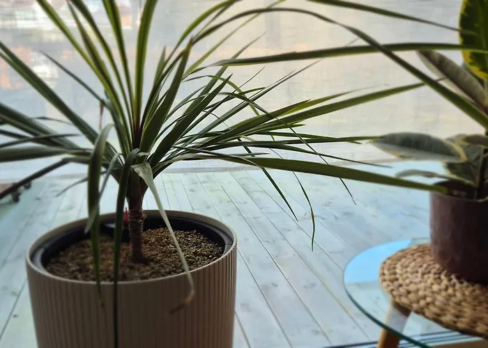 Work Friendly 1br I Office Setup I Near Ferry